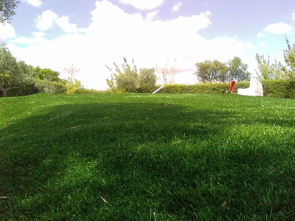 BS Garden – Césped artificial