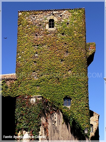 Casa de los Paredes-Saavedra y Torre de los Sande