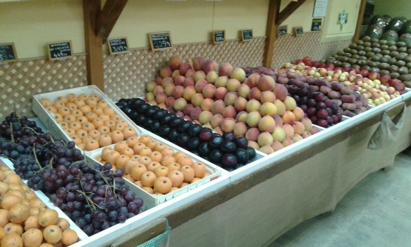 Frutería L´Horta