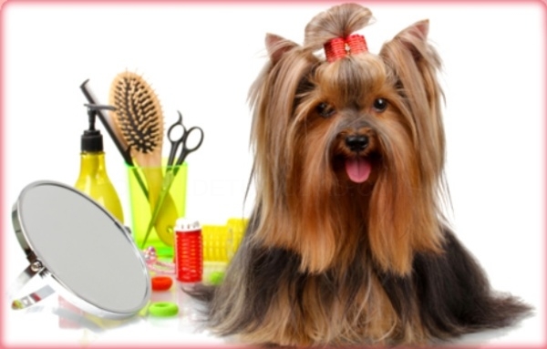 Productos y servicios