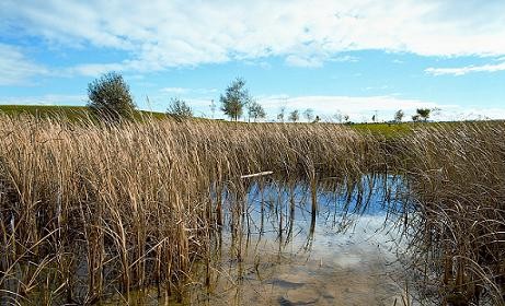 Las lagunas de Lezea y Zabalgana Las lagunas de Lezea y Zabalgana