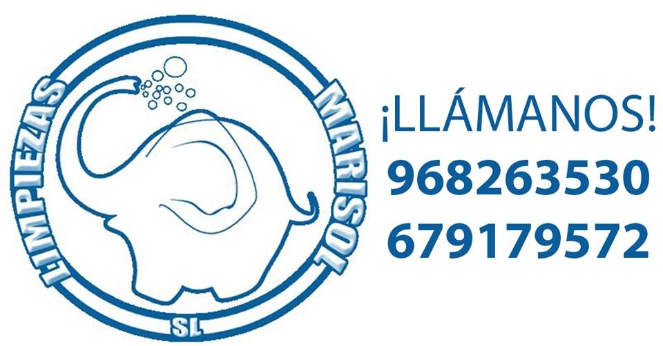 EMPRESAS LIMPIEZA MURCIA empresas limpieza murcia: