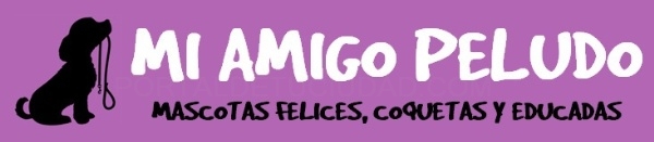 Productos y servicios