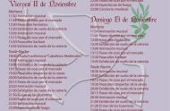 MERCADO MEDIEVAL DE LAS TRES CULTURAS 2016.