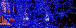 ENCENDIDO ILUMINACIÓN NAVIDAD PLAZA MAYOR