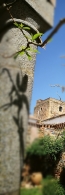 ESBOZOS ÁUREOS, CÍA: MALTRAVIESO