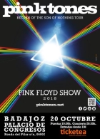 PINK TONES A PINK FLOY SHOW