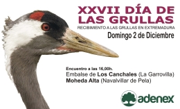 XXVII DÍA DE LAS GRULLAS