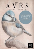 Exposición "Aves", de Ana Brown.