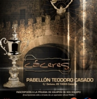 CAMPEONATO NACIONAL DE DARDOS FINALES COPA KO 2019