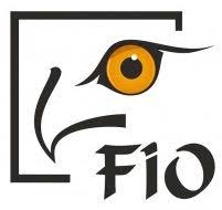 FIO 2019