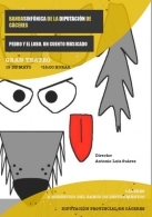PEDRO Y EL LOBO , CONCIERTOS EN FAMILIA