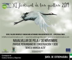 XI Festival de las grullas 2019