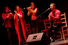 XV Festival Flamenco de las Minas de Aldea Moret