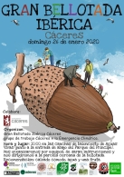 Gran Bellotada Ibérica en Cáceres