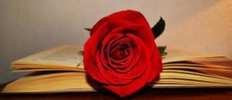 DIA DEL LIBRO
