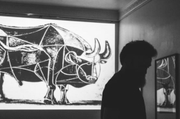 ALVARO MURILLO, EL BARBERO DE PICASSO