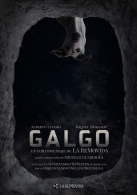 Presentación de Corto Galgo por La ReMovida