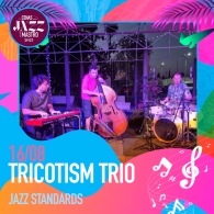 Tricotism Trio