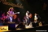Festival Womad