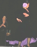 XXXIV Festival Flamenco