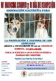 IV Marcha Canina y el II Día de la Adpción