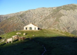 Ruta de senderismo (Ermita de la Virgen de las Nieves)