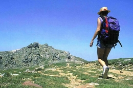 El Día de la Seta de Primavera 2012