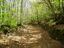 Ruta de senderismo "A Fala"
