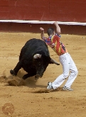 Documental El Animal