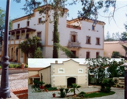 Los Conciertos de Pedrilla