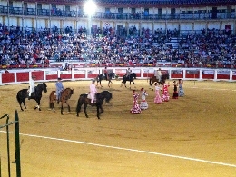 Espectáculo Ecuestre "Ritmo a caballo"