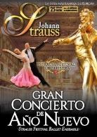 Gran concierto de año nuevo, Johann Strauss