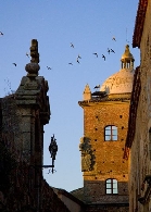 VII Maratón Fotográfico Cáceres, ciudad de las Aves