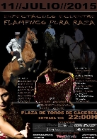 Espectáculo ecuestre FLAMENCO PURA RAZA