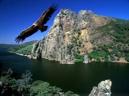Día Mundial del Medio Ambiente
