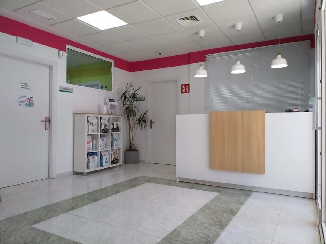 clínicas veterinarias cáceres, hospitales para animales cáceres, piensos para perros cáceres, medicina veterinaria de animales cáceres