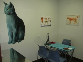 Clínica Veterinaria Hiperzoo - Tienda de mascotas y animales, Peluquería canina