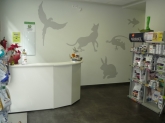 Clínica Veterinaria Hiperzoo - Tienda de mascotas y animales, Peluquería canina
