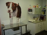 Clínica Veterinaria Hiperzoo - Tienda de mascotas y animales, Peluquería canina