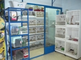 Clínica Veterinaria Hiperzoo - Tienda de mascotas y animales, Peluquería canina