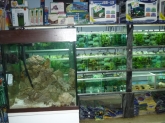 Clínica Veterinaria Hiperzoo - Tienda de mascotas y animales, Peluquería canina