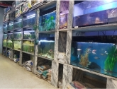 Clínica Veterinaria Hiperzoo - Tienda de mascotas y animales, Peluquería canina