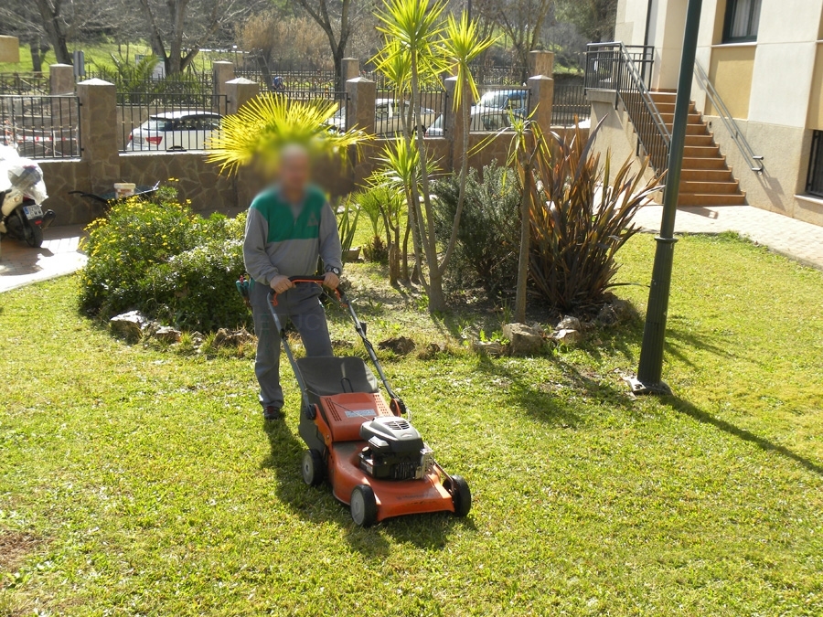 limpiezas cáceres, empresas de limpieza cáceres, desinfección cáceres, mantenimientos de jardines cáceres