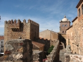 Taxis en Cáceres Alfonso Palacios