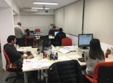 Novis Formación
