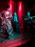 Faus Flamenco - Cantaor de Flamenco