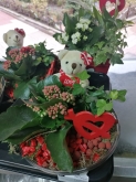 Flores Juanvic - Floristerías en Cáceres