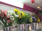 Flores Juanvic - Floristerías en Cáceres
