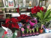 Flores Juanvic - Floristerías en Cáceres
